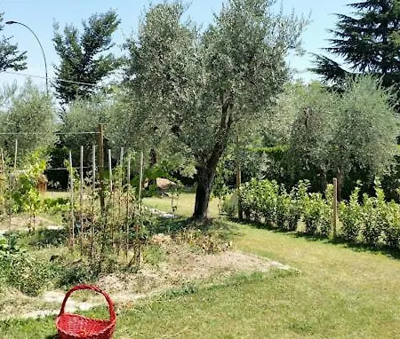 The Magic House With Garden *